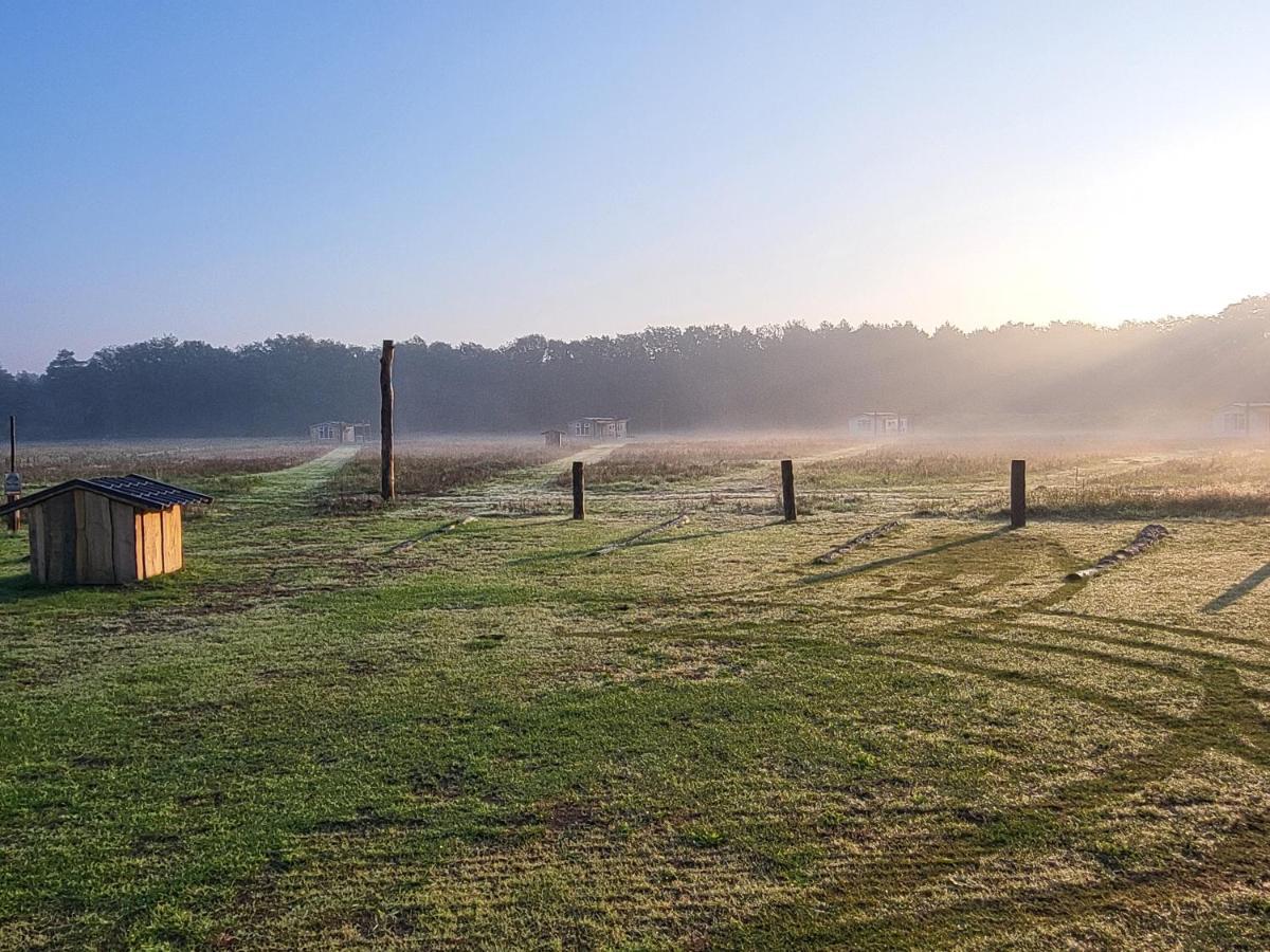 Hoeve Twente - De Buizerd Villa Heythuysen Eksteriør bilde