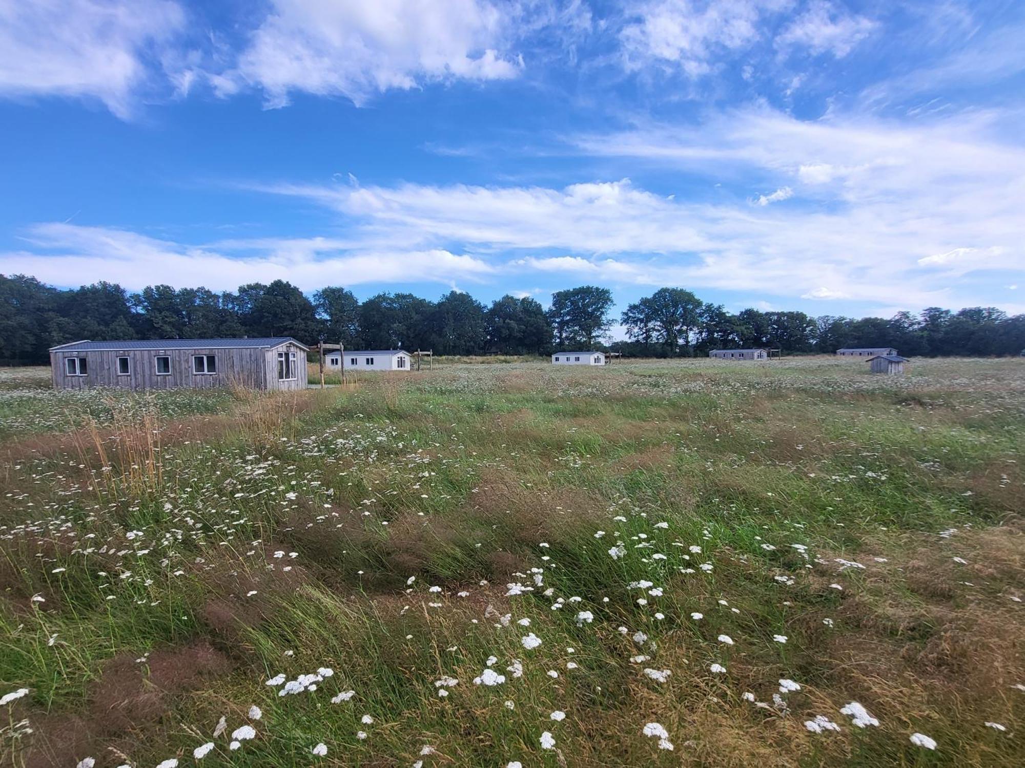 Hoeve Twente - De Buizerd Villa Heythuysen Eksteriør bilde
