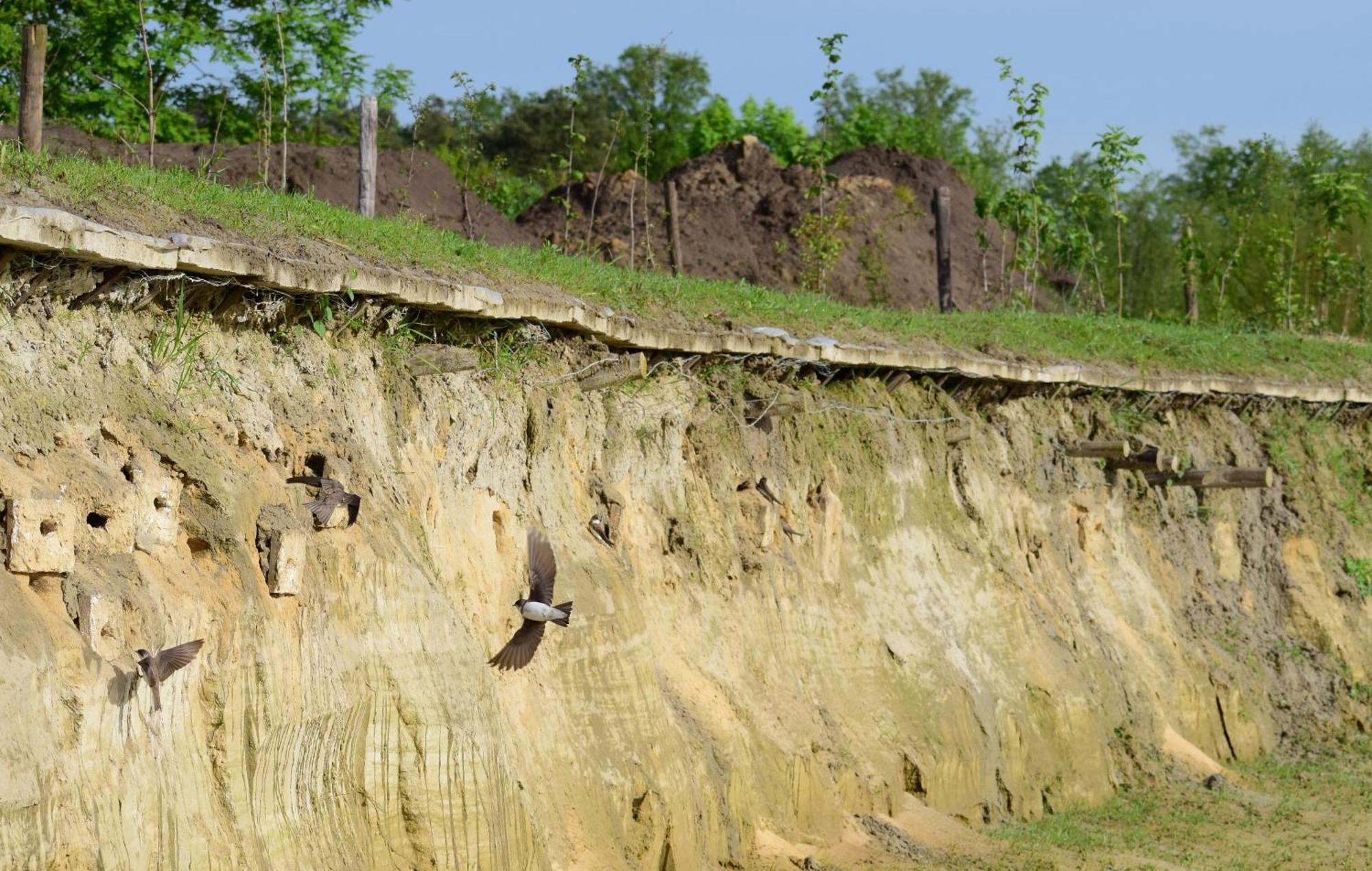 Hoeve Twente - De Buizerd Villa Heythuysen Eksteriør bilde
